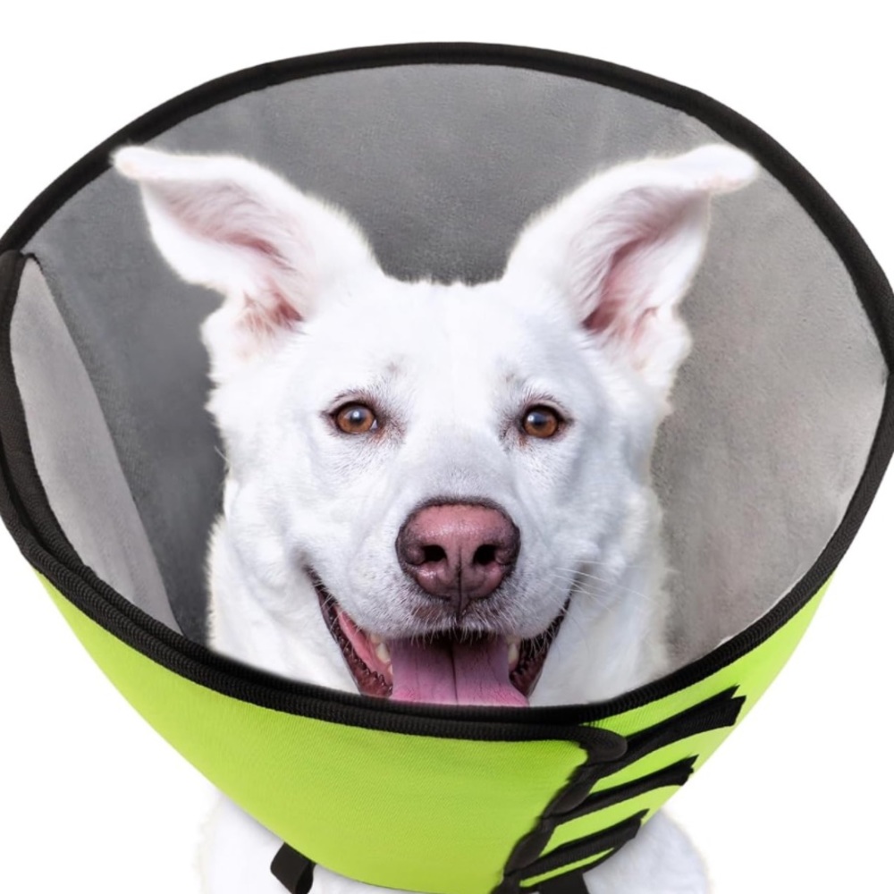 New Marnonsis PROTECTIVE RECOVERY CONE size XSMALL